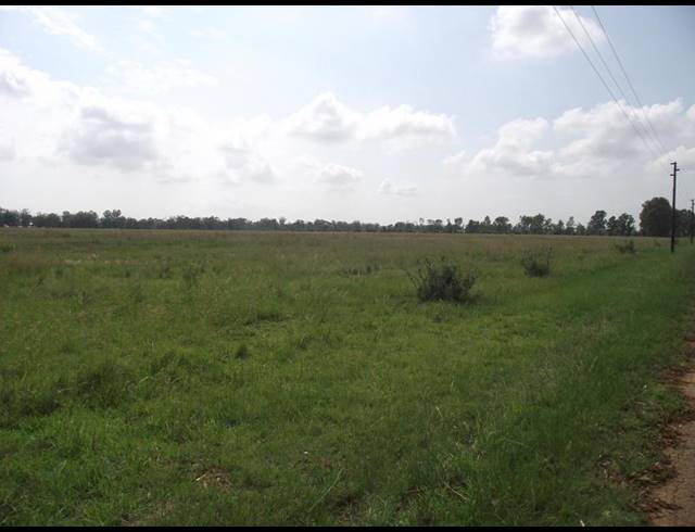 LAND FOR SALE IN RIVERSDALE